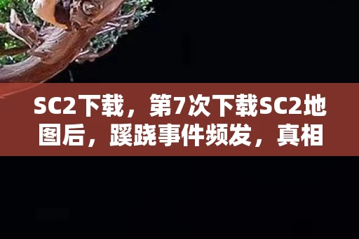 SC2下载,第7次下载SC2地图后,蹊跷事件频发,真相让我后背发凉! SC2下载,第7次下载SC2地图后,蹊跷事件频发,真相让我后背发凉!