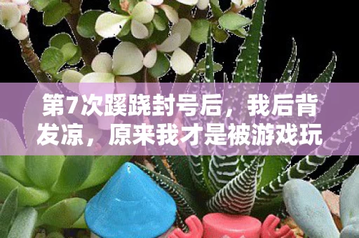 第7次蹊跷封号后,我后背发凉,原来我才是被游戏玩透的提线木偶 第7次蹊跷封号后,我后背发凉,原来我才是被游戏玩透的提线木偶