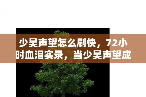 少昊声望怎么刷快,72小时血泪实录,当少昊声望成为数字坟场的最后一块墓碑 少昊声望怎么刷快,72小时血泪实录,当少昊声望成为数字坟场的最后一块墓碑