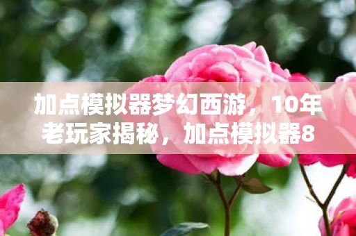 加点模拟器梦幻西游,10年老玩家揭秘,加点模拟器86的36次版本迭代藏着什么惊天秘密? 加点模拟器梦幻西游,10年老玩家揭秘,加点模拟器86的36次版本迭代藏着什么惊天秘密?