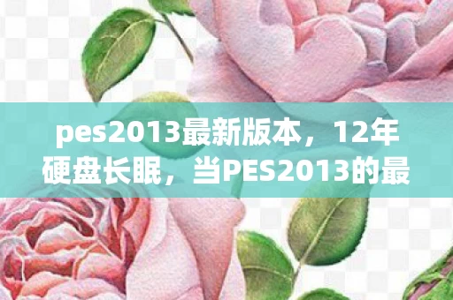 pes2013最新版本,12年硬盘长眠,当PES2013的最后一粒像素在2035年熄灭,谁在守望绿茵场的眼泪? pes2013最新版本,12年硬盘长眠,当PES2013的最后一粒像素在2035年熄灭,谁在守望绿茵场的眼泪?