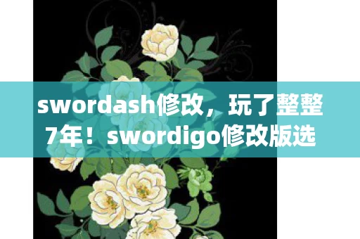 swordash修改,玩了整整7年!swordigo修改版选A还是B?老玩家纠结到失眠! swordash修改,玩了整整7年!swordigo修改版选A还是B?老玩家纠结到失眠!