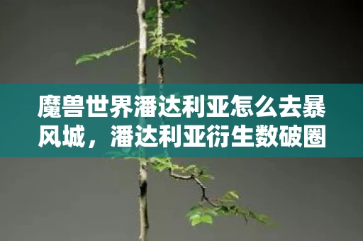 魔兽世界潘达利亚怎么去暴风城,潘达利亚衍生数破圈指南,当冰箱空了,我的熊猫人还在冰箱贴上打坐! 魔兽世界潘达利亚怎么去暴风城,潘达利亚衍生数破圈指南,当冰箱空了,我的熊猫人还在冰箱贴上打坐!