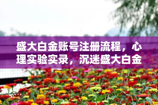 盛大白金账号注册流程，心理实验实录，沉迷盛大白金账号的细思极恐自我麻醉史