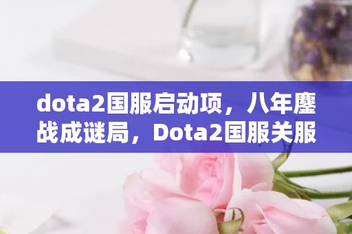 dota2国服启动项,八年鏖战成谜局,Dota2国服关服泪目终章 dota2国服启动项,八年鏖战成谜局,Dota2国服关服泪目终章