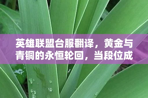 英雄联盟台服翻译,黄金与青铜的永恒轮回,当段位成为囚笼,谁在操控你的命运齿轮? 英雄联盟台服翻译,黄金与青铜的永恒轮回,当段位成为囚笼,谁在操控你的命运齿轮?