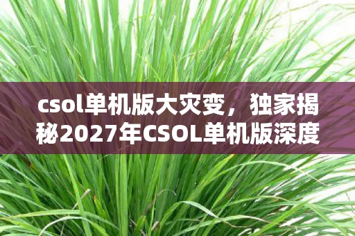 csol单机版大灾变,独家揭秘2027年CSOL单机版深度体验,10大革新玩法让你心跳加速! csol单机版大灾变,独家揭秘2027年CSOL单机版深度体验,10大革新玩法让你心跳加速!