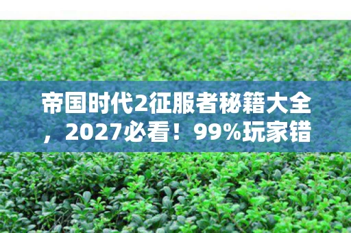 帝国时代2征服者秘籍大全，2027必看！99%玩家错过的帝国2征服者秘籍，实战体验颠覆认知！
