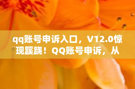 qq账号申诉入口,V12.0惊现蹊跷!QQ账号申诉,从狂热到释怀的版本史诗 qq账号申诉入口,V12.0惊现蹊跷!QQ账号申诉,从狂热到释怀的版本史诗