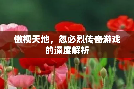 忽必烈传奇游戏的深度解析图片