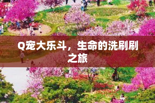 生命的洗刷刷之旅图片