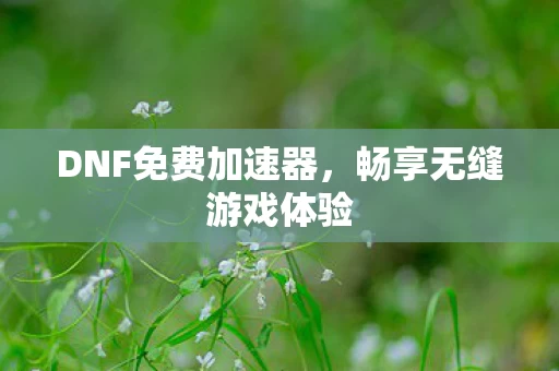 DNF免费加速器图片