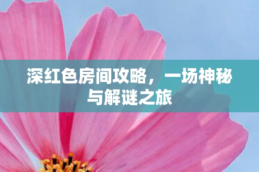 一场神秘与解谜之旅图片