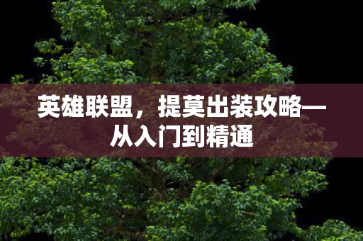 提莫出装攻略图片