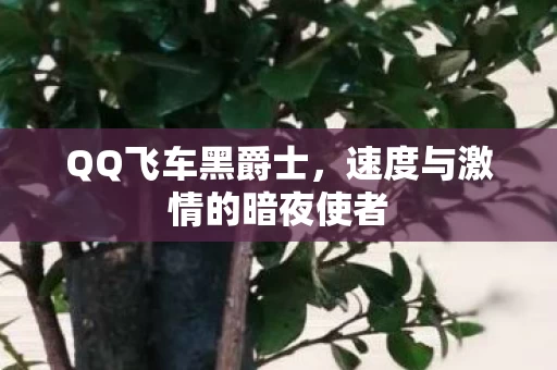 速度与激情的暗夜使者图片
