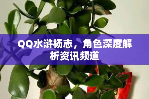 角色深度解析资讯频道图片