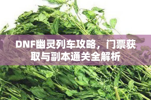 门票获取与副本通关全解析图片