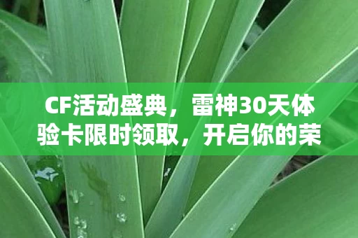 雷神30天体验卡限时领取图片