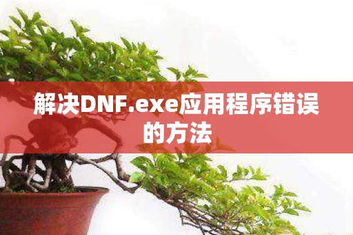 exe应用程序错误的方法图片