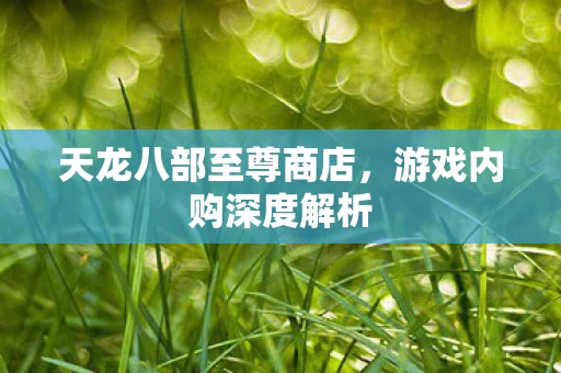 天龙八部至尊商店图片