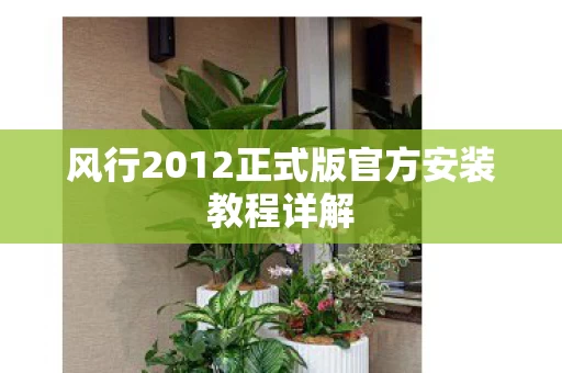 风行2012正式版官方安装教程详解