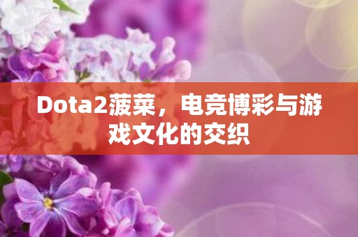 Dota2菠菜,电竞博彩与游戏文化的交织 Dota2菠菜,电竞博彩与游戏文化的交织