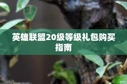 英雄联盟20级等级礼包购买指南