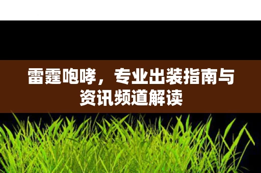 专业出装指南与资讯频道解读图片