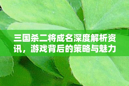 三国杀二将成名深度解析资讯图片
