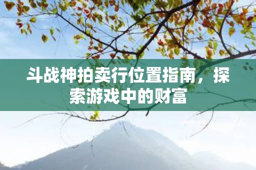 斗战神拍卖行位置指南图片