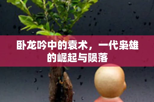 一代枭雄的崛起与陨落图片