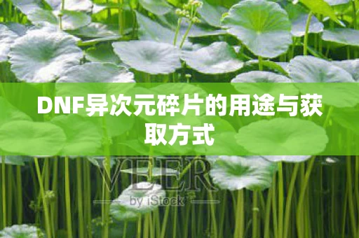 DNF异次元碎片的用途与获取方式图片