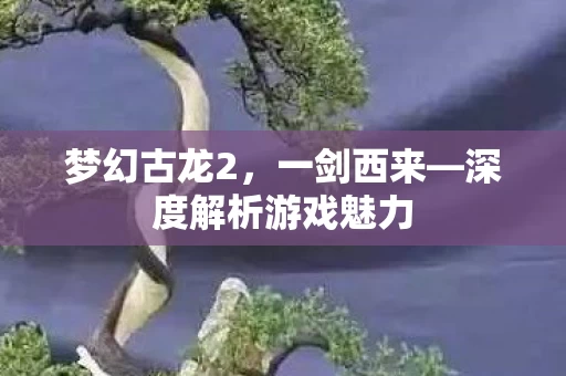 深度解析游戏魅力图片