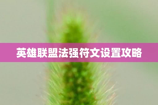 英雄联盟法强符文设置攻略图片