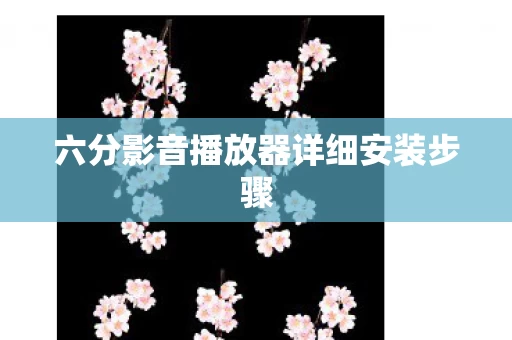 六分影音播放器详细安装步骤图片