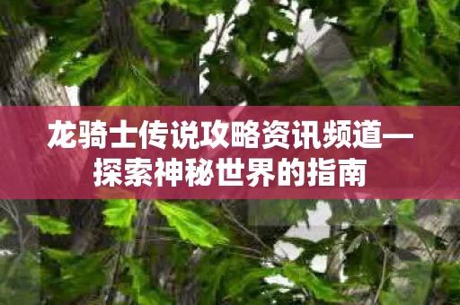 龙骑士传说攻略资讯频道图片