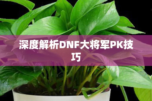 深度解析DNF大将军PK技巧图片
