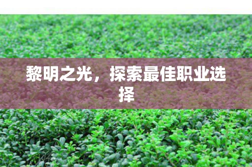 探索最佳职业选择图片