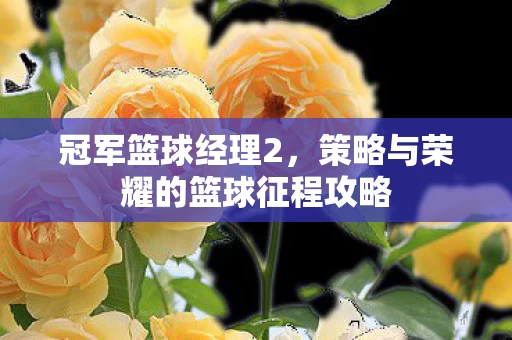 策略与荣耀的篮球征程攻略图片