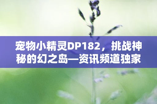 宠物小精灵DP182图片