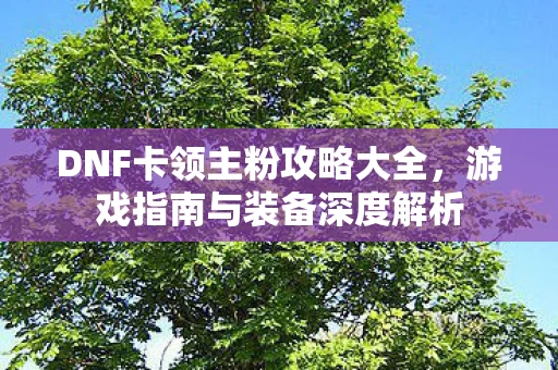 DNF卡领主粉攻略大全图片