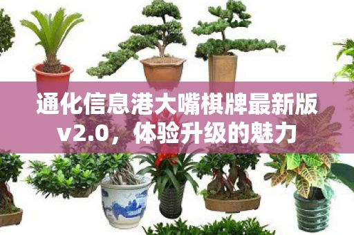 通化信息港大嘴棋牌最新版v2图片