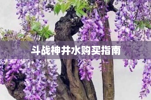 斗战神井水购买指南图片