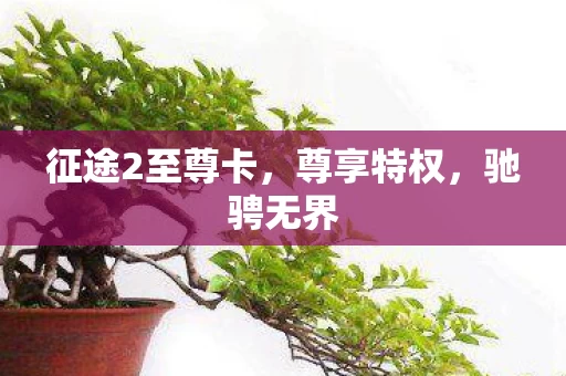征途2至尊卡图片