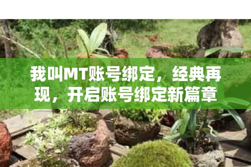 开启账号绑定新篇章图片