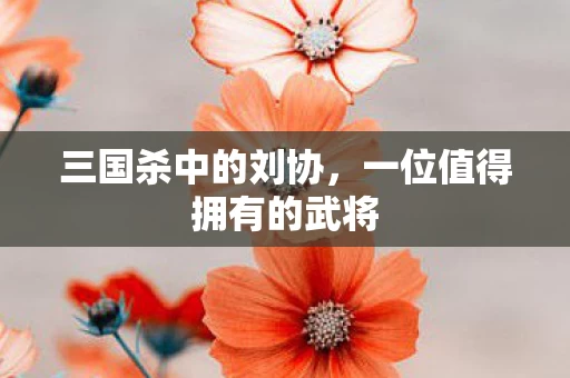 一位值得拥有的武将图片