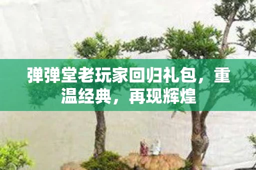 弹弹堂老玩家回归礼包图片