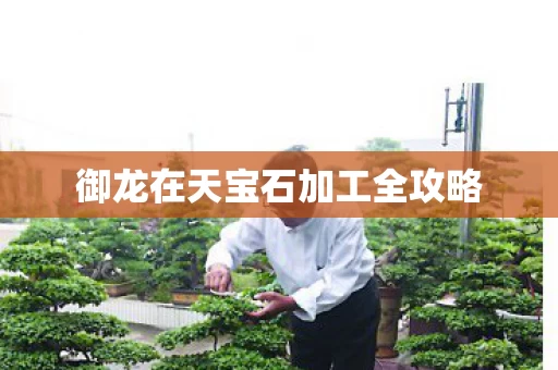 御龙在天宝石加工全攻略图片
