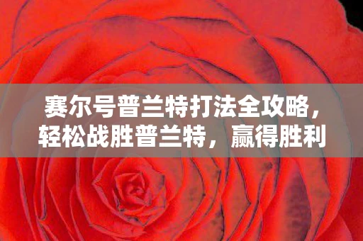 赛尔号普兰特打法全攻略图片