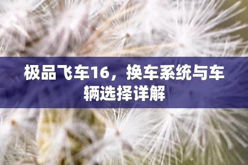 换车系统与车辆选择详解图片